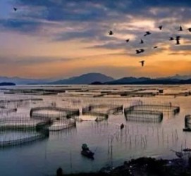 如东伴游中国网景点丰富(旅游网介绍)