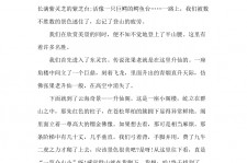 如东旅游感想(张家界旅游感想)