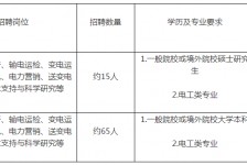 如东重庆有雇用伴游外围吗(高端外围伴游雇用一单一结)