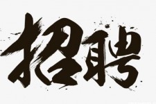 如东商务伴游招聘 全国大圈小圈中圈女招聘【年薪百万】2023已更新(今日/招聘)