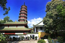 如东广州自由行(广州 自由行)