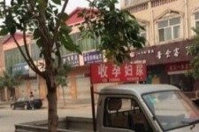 如东上海伴游 用伴游造句大全(5