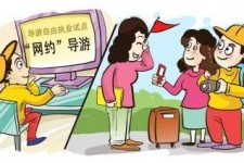 如东伴游是什么