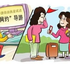 如东伴游是什么