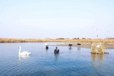如东南昌附近伴游小妹兼职(1534939978姐的微信德惠市)