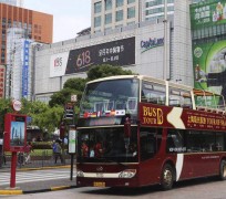 如东上海私人伴游 上海过年怎么玩？这些“微游”线路了解下→