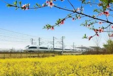 如东高铁游(高铁游戏下载手机版)