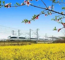 如东高铁游(高铁游戏下载手机版)