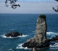 如东旅游全攻略(上海旅游全攻略)