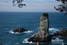 如东旅游全攻略(上海旅游全攻略)