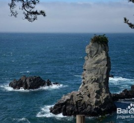 如东旅游全攻略(上海旅游全攻略)