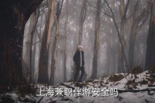 如东上海私人伴游 上海伴游，上海兼职伴游安全吗