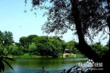 如东西湖旅游攻略(上海到杭州西湖旅游攻略)