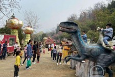 如东中国伴游带你打卡网红南山竹海(南山竹海网上预约)