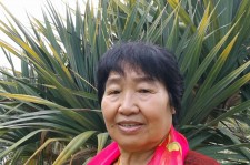 如东白叟带老伴游半个中国(白叟外出旅游)