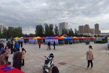 如东通辽伴游雇用(哈尔滨伴游雇用)