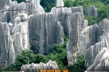 如东贵阳市游览社英语伴游雇用(贵阳市前十名游览社是哪几家)