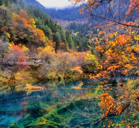 如东四川旅游攻略(四川旅游攻略十五日游)