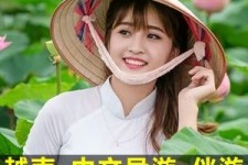 如东日本关东伴游中国(日本关西旅行)