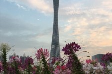 如东广州旅游攻略(杭州到广州旅游攻略)