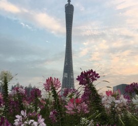 如东广州旅游攻略(杭州到广州旅游攻略)
