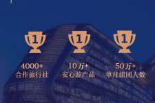 如东上海私人伴游 ​ “小而美”的新时代：2020年国内新跟团消费报告