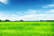 如东上海伴游 上海模特伴游微信号的交友宣言