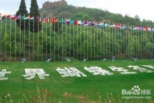 如东昆明旅游攻略(昆明旅游攻略景点大全抚仙湖)
