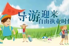 如东私人伴游 “网约导游”到底是正流行 还是不热闹