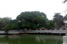 如东福州旅游攻略(福州旅游攻略二日游)