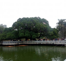 如东福州旅游攻略(福州旅游攻略二日游)