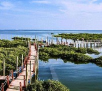 如东旅游哪里好玩(云南旅游哪里好玩)