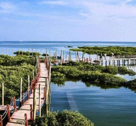 如东旅游哪里好玩(云南旅游哪里好玩)