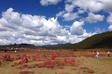 如东旅游去处(暑期最好的旅游去处)