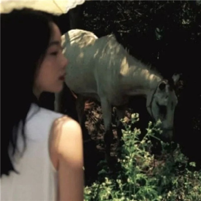 如东私家伴游让你拥有一次完美的旅游体验