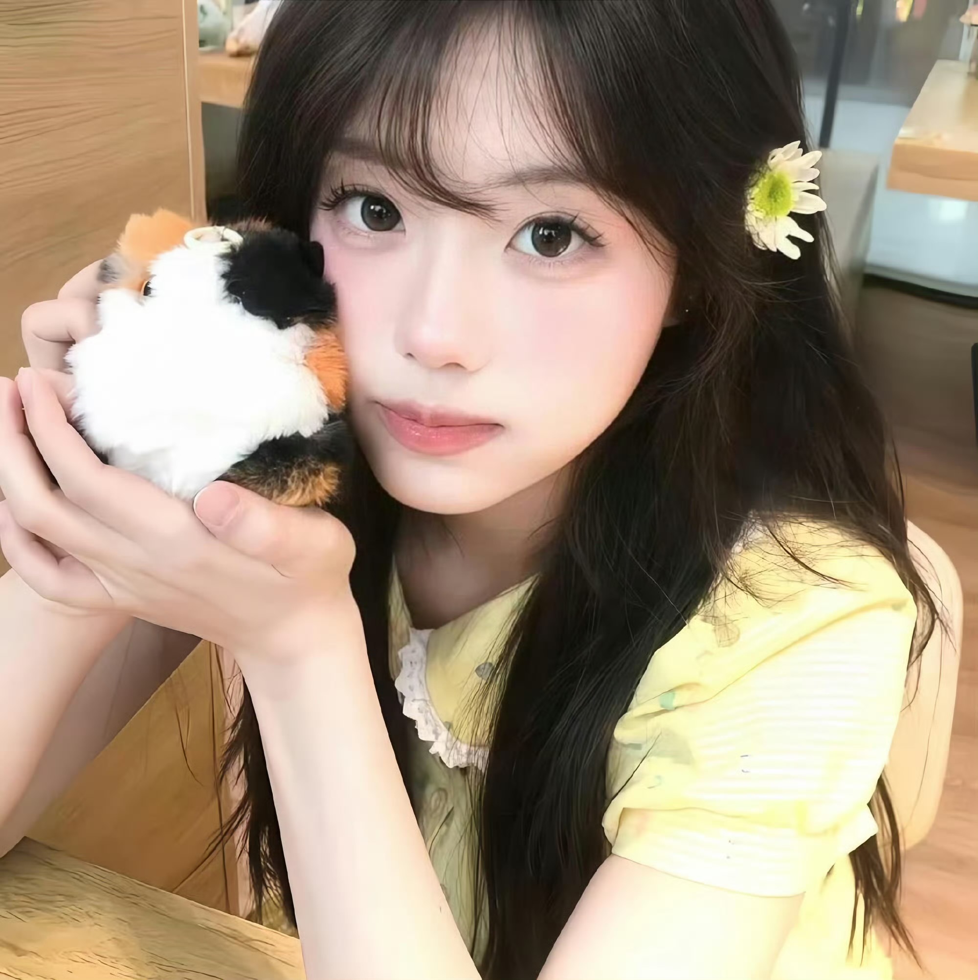 如东伴游女生 | 廖海菡的资料