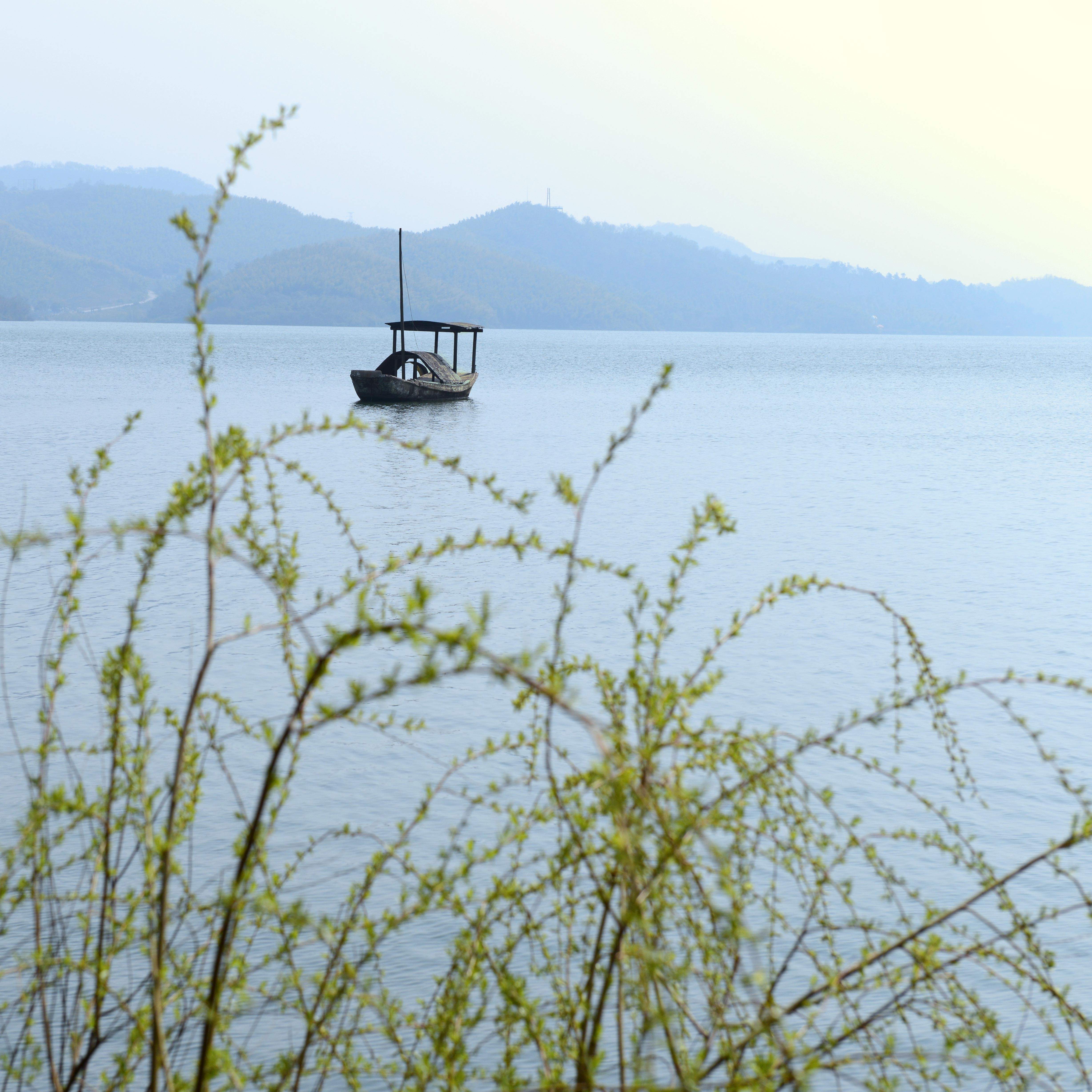 中国伴游带你打卡网红南山竹海(南山竹海网上预约)