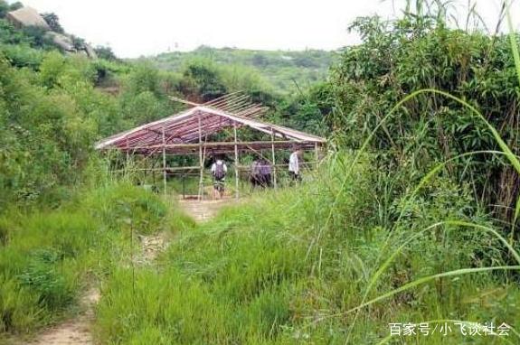北海伴游兼职雇用信息(北海伴游兼职雇用信息大全)